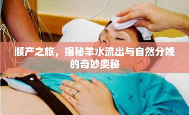 順產(chǎn)之旅，揭秘羊水流出與自然分娩的奇妙?yuàn)W秘