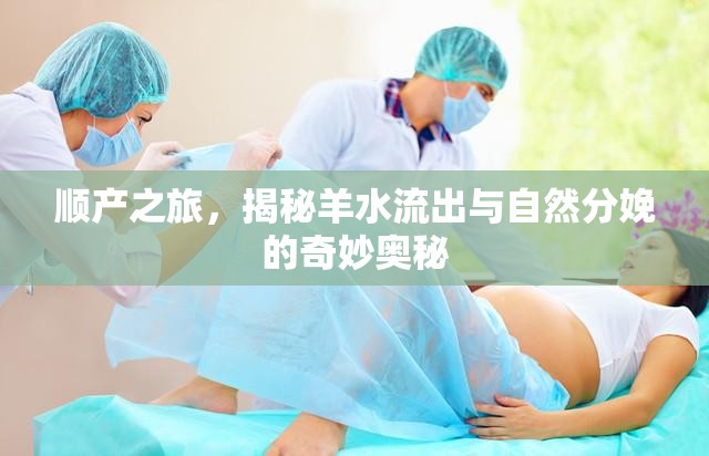 順產(chǎn)之旅，揭秘羊水流出與自然分娩的奇妙?yuàn)W秘