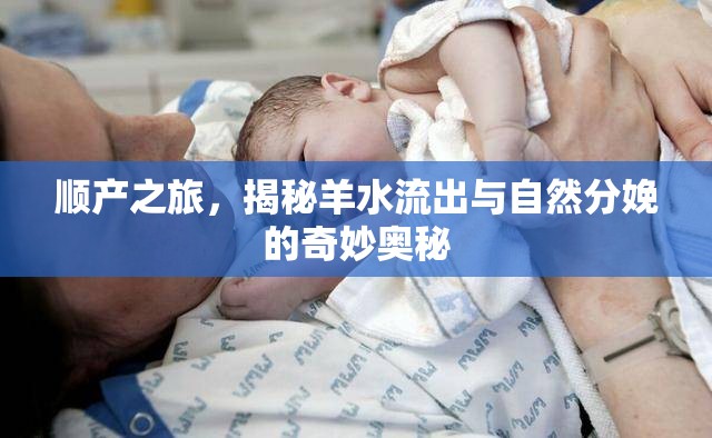 順產(chǎn)之旅，揭秘羊水流出與自然分娩的奇妙?yuàn)W秘