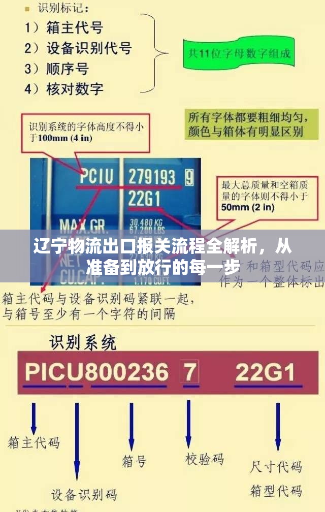 遼寧物流出口報(bào)關(guān)流程全解析，從準(zhǔn)備到放行的每一步