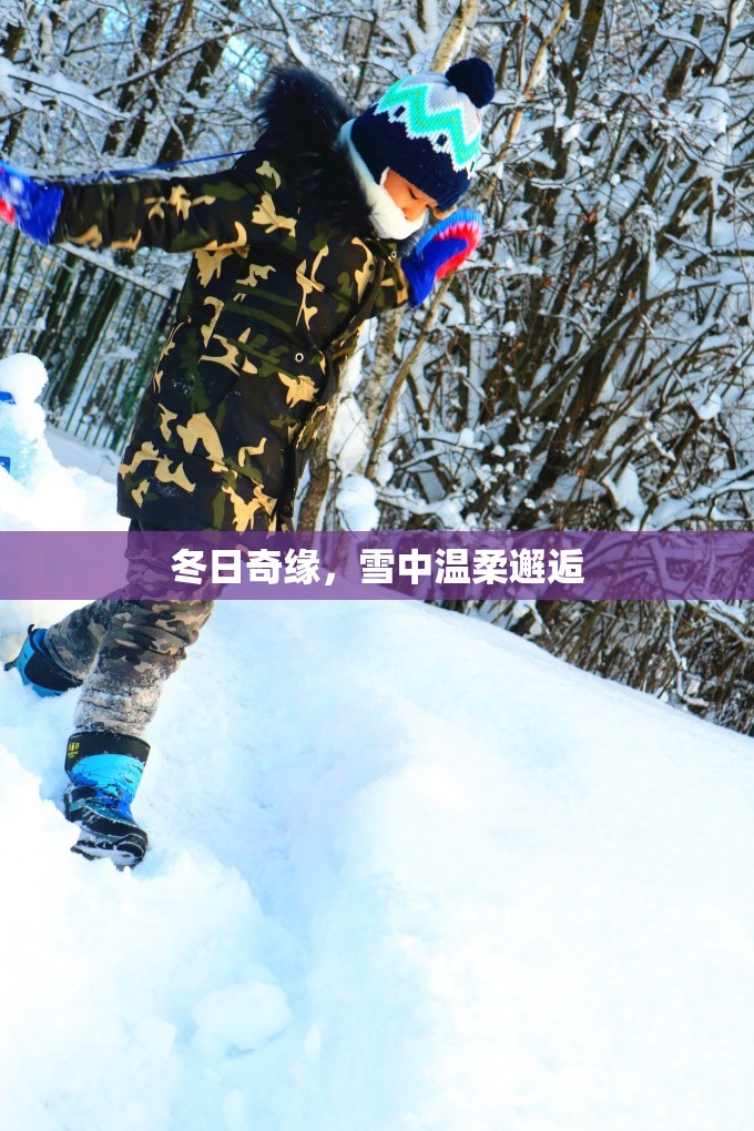 冬日奇緣，雪中溫柔邂逅