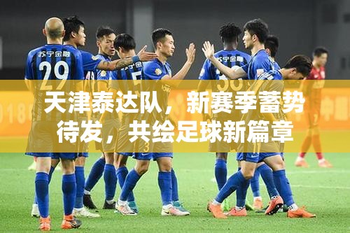 天津泰達隊，新賽季蓄勢待發(fā)，共繪足球新篇章