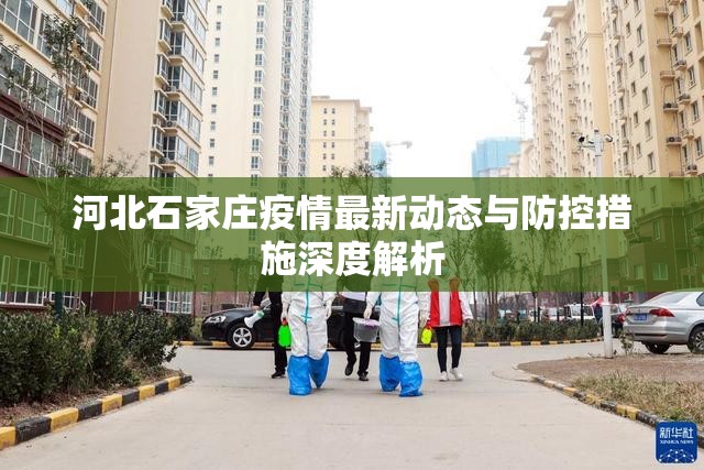 河北石家莊疫情最新動(dòng)態(tài)與防控措施深度解析