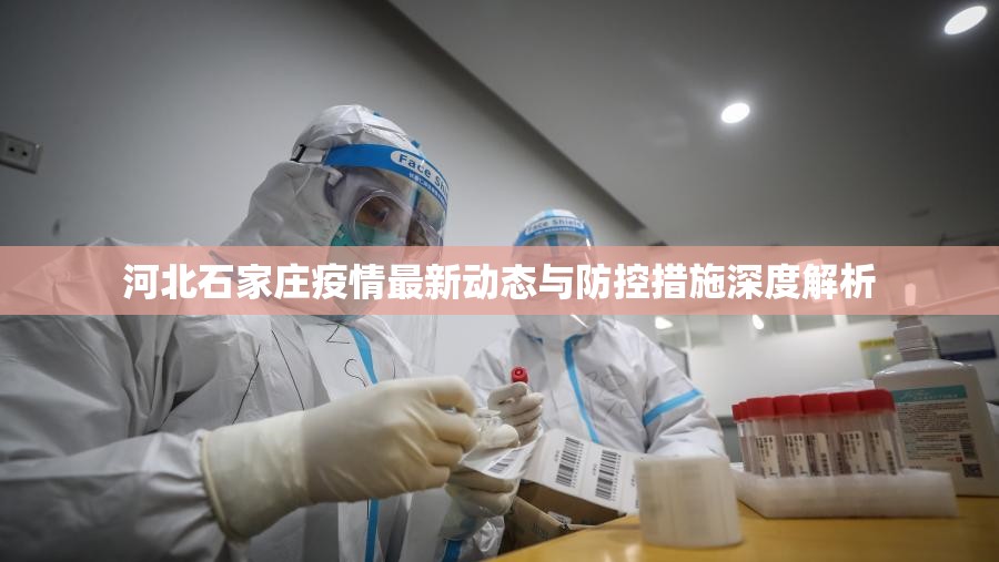 河北石家莊疫情最新動(dòng)態(tài)與防控措施深度解析