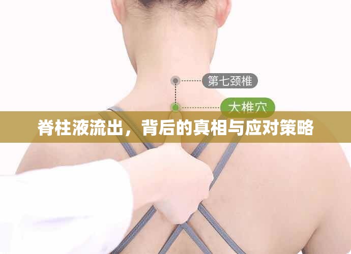 脊柱液流出，背后的真相與應(yīng)對策略