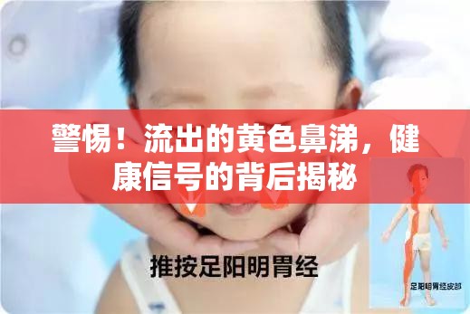 警惕！流出的黃色鼻涕，健康信號的背后揭秘