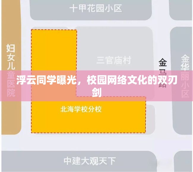 浮云同學曝光，校園網(wǎng)絡文化的雙刃劍