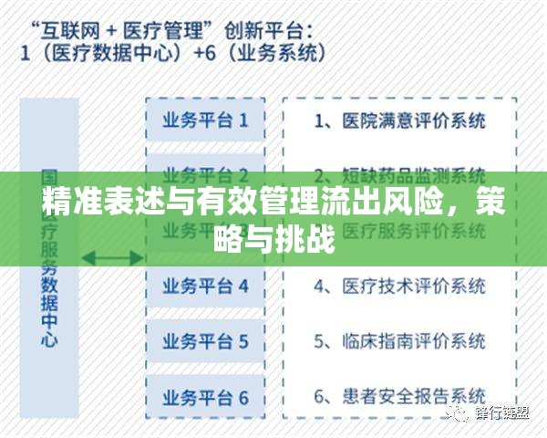 精準表述與有效管理流出風險，策略與挑戰(zhàn)