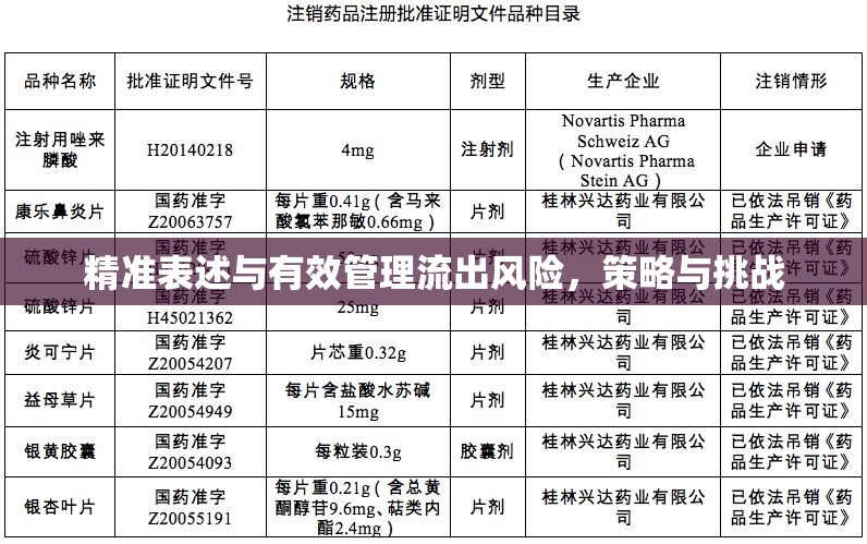 精準表述與有效管理流出風險，策略與挑戰(zhàn)