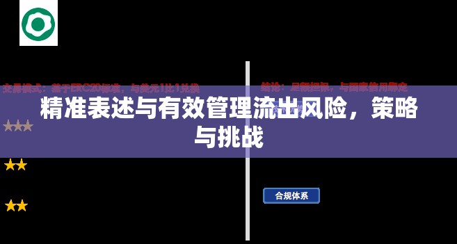 精準表述與有效管理流出風險，策略與挑戰(zhàn)