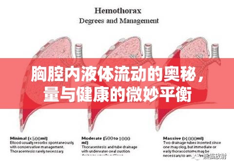胸腔內(nèi)液體流動的奧秘，量與健康的微妙平衡