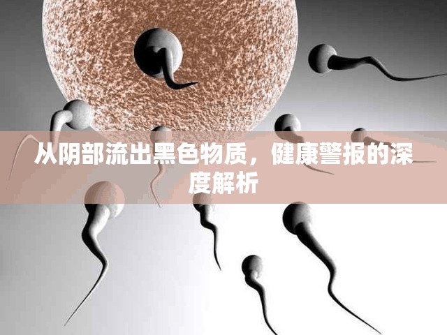 從陰部流出黑色物質(zhì)，健康警報(bào)的深度解析