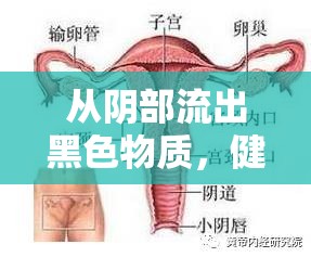 從陰部流出黑色物質(zhì)，健康警報(bào)的深度解析