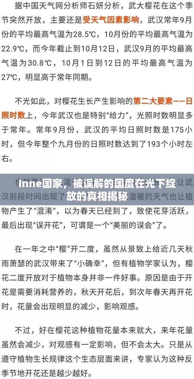 Inne國家，被誤解的國度在光下綻放的真相揭秘
