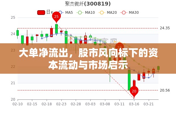 大單凈流出，股市風向標下的資本流動與市場啟示