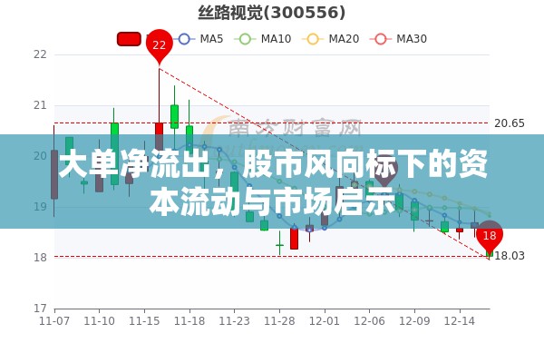 大單凈流出，股市風向標下的資本流動與市場啟示