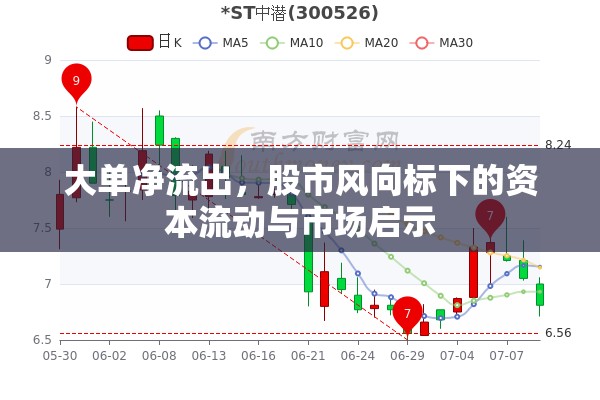 大單凈流出，股市風向標下的資本流動與市場啟示