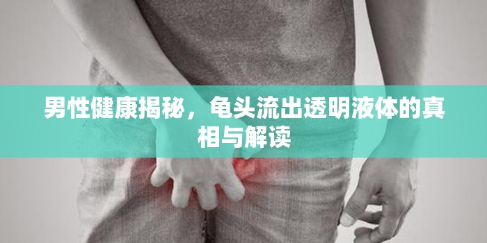 男性健康揭秘，龜頭流出透明液體的真相與解讀