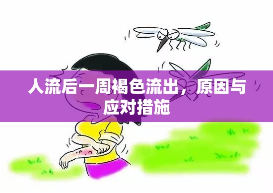 人流后一周褐色流出，原因與應對措施