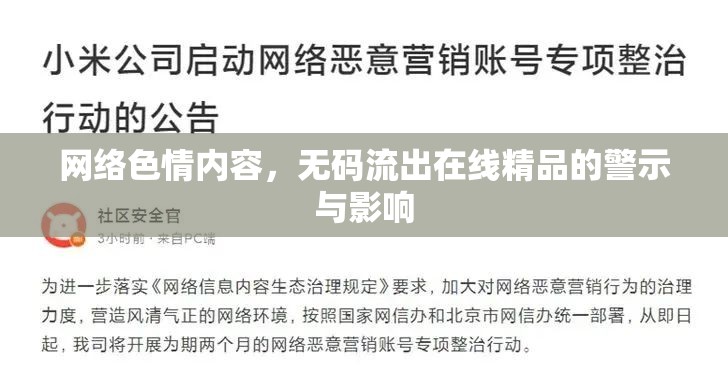 網(wǎng)絡(luò)色情內(nèi)容，無碼流出在線精品的警示與影響