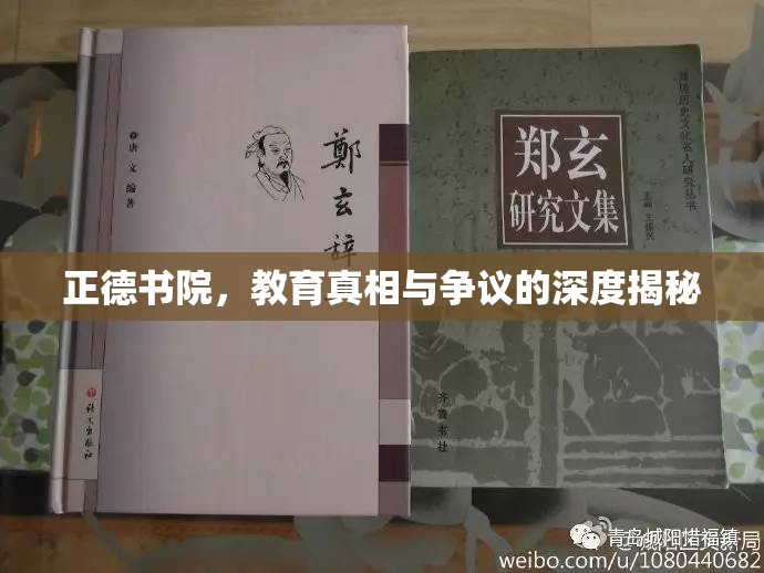 正德書院，教育真相與爭議的深度揭秘