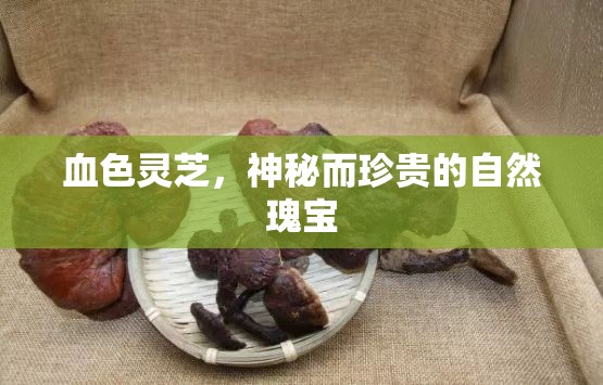 血色靈芝，神秘而珍貴的自然瑰寶