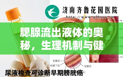 腮腺流出液體的奧秘，生理機(jī)制與健康影響的全面解析