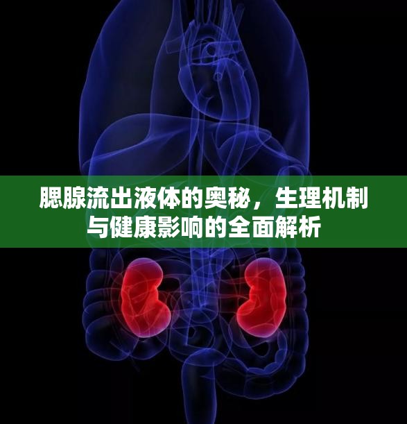 腮腺流出液體的奧秘，生理機(jī)制與健康影響的全面解析