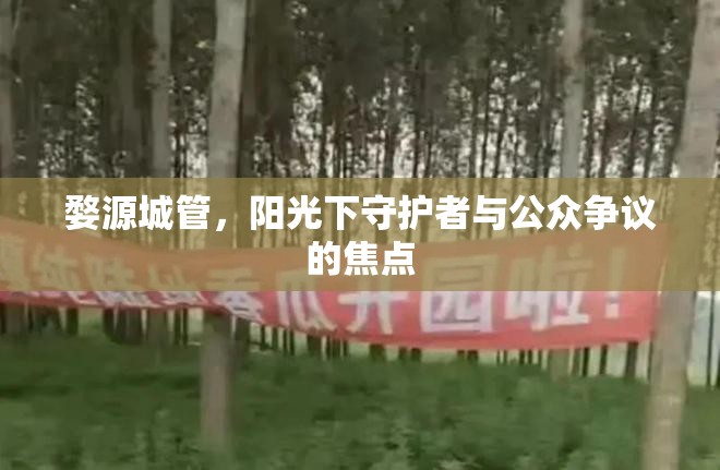 婺源城管，陽光下守護者與公眾爭議的焦點
