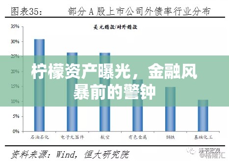 檸檬資產(chǎn)曝光，金融風(fēng)暴前的警鐘