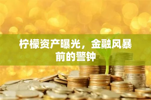 檸檬資產(chǎn)曝光，金融風(fēng)暴前的警鐘
