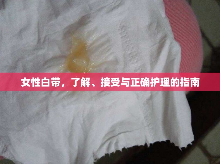 女性白帶，了解、接受與正確護(hù)理的指南