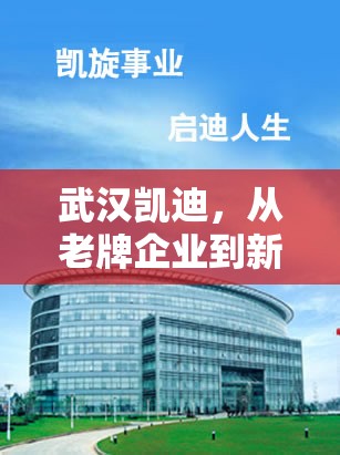 武漢凱迪，從老牌企業(yè)到新能源先鋒的綠色轉型之旅