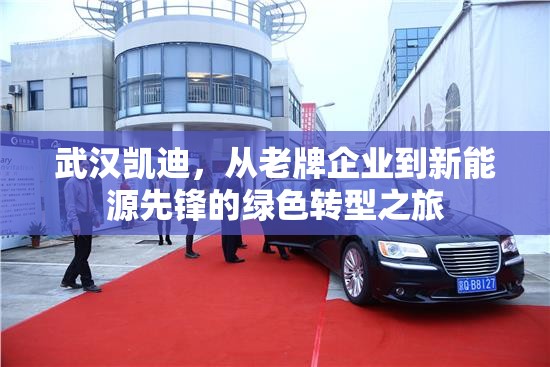 武漢凱迪，從老牌企業(yè)到新能源先鋒的綠色轉型之旅