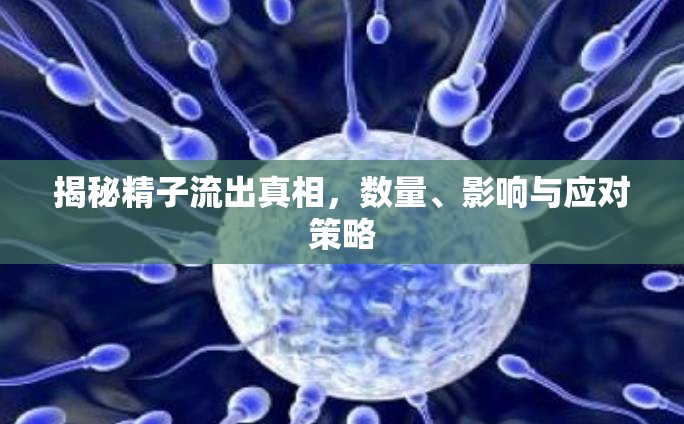 揭秘精子流出真相，數(shù)量、影響與應(yīng)對(duì)策略