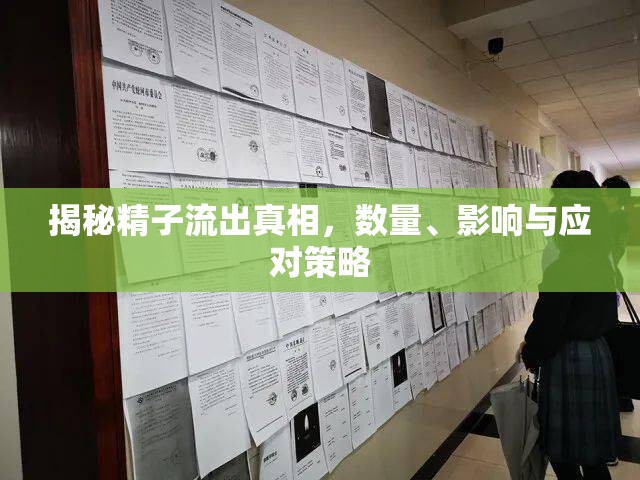 揭秘精子流出真相，數(shù)量、影響與應(yīng)對(duì)策略