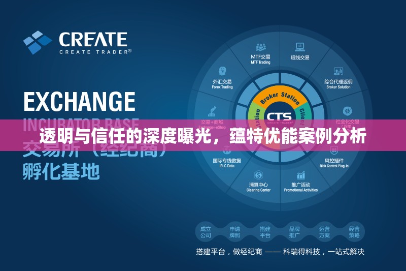 透明與信任的深度曝光，蘊(yùn)特優(yōu)能案例分析