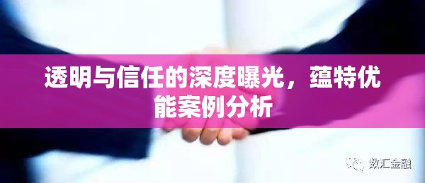 透明與信任的深度曝光，蘊(yùn)特優(yōu)能案例分析