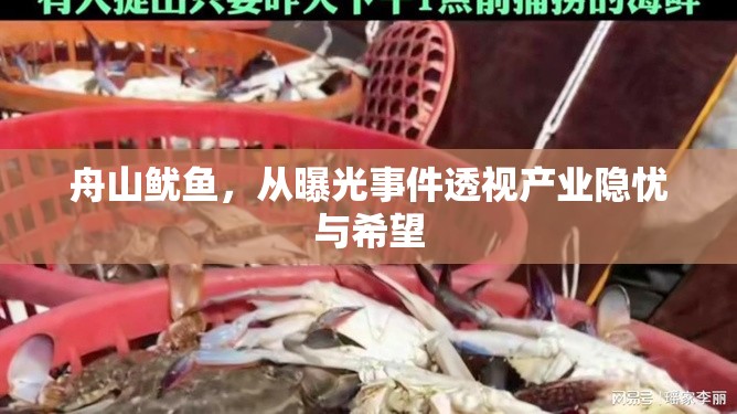 舟山魷魚，從曝光事件透視產(chǎn)業(yè)隱憂與希望