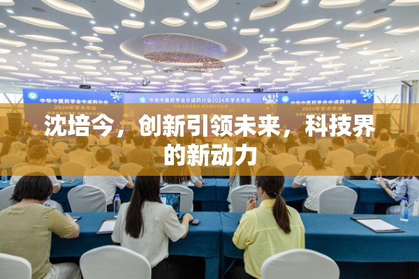 沈培今，創(chuàng)新引領(lǐng)未來(lái)，科技界的新動(dòng)力