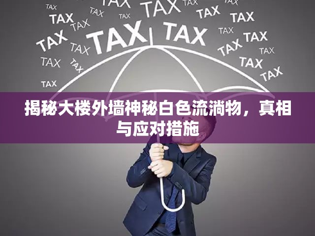 揭秘大樓外墻神秘白色流淌物，真相與應(yīng)對(duì)措施
