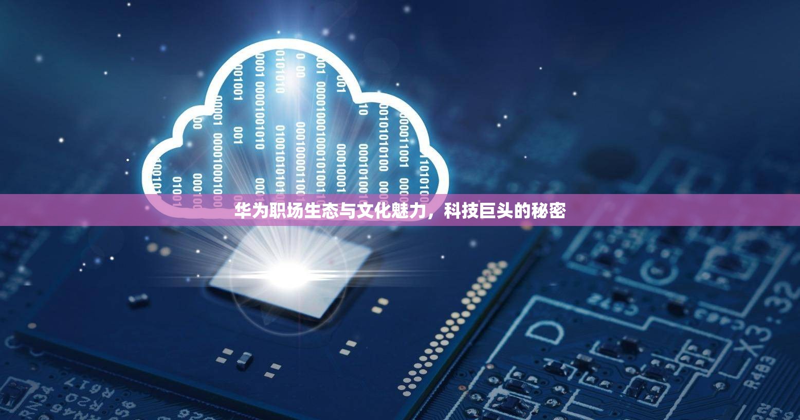 華為職場生態(tài)與文化魅力，科技巨頭的秘密