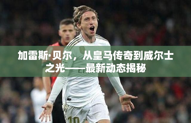 加雷斯·貝爾，從皇馬傳奇到威爾士之光——最新動態(tài)揭秘