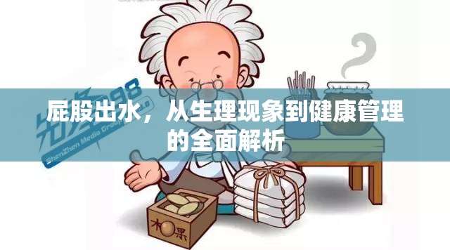 屁股出水，從生理現(xiàn)象到健康管理的全面解析