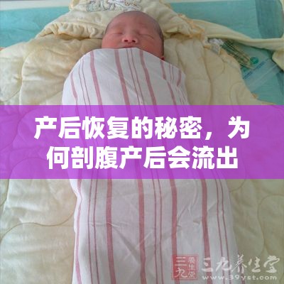 產(chǎn)后恢復(fù)的秘密，為何剖腹產(chǎn)后會(huì)流出黃色液體？