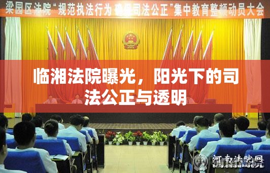 臨湘法院曝光，陽(yáng)光下的司法公正與透明