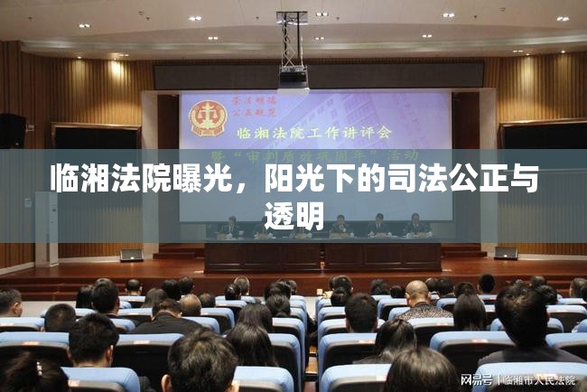 臨湘法院曝光，陽(yáng)光下的司法公正與透明
