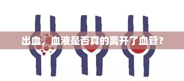 出血，血液是否真的離開(kāi)了血管？