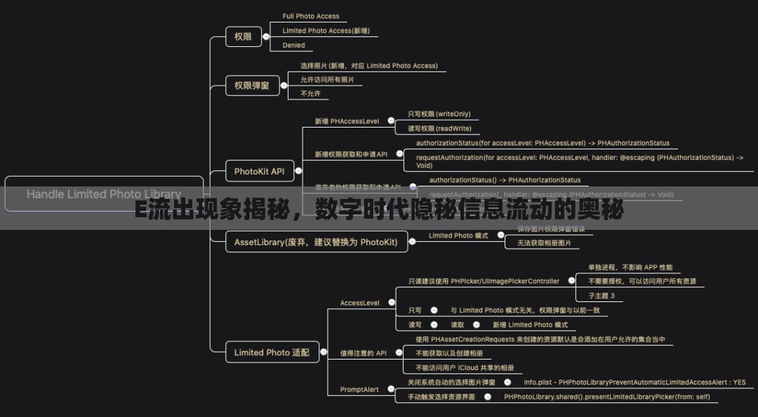 E流出現(xiàn)象揭秘，數(shù)字時(shí)代隱秘信息流動(dòng)的奧秘