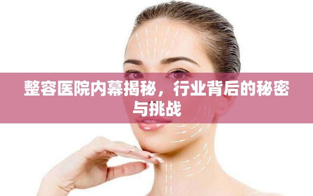 整容醫(yī)院內(nèi)幕揭秘，行業(yè)背后的秘密與挑戰(zhàn)